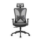 Chaise de bureau ergonomique support lombaire