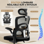 Chaise ergonomique dossier haut appui tête soutien lombaire